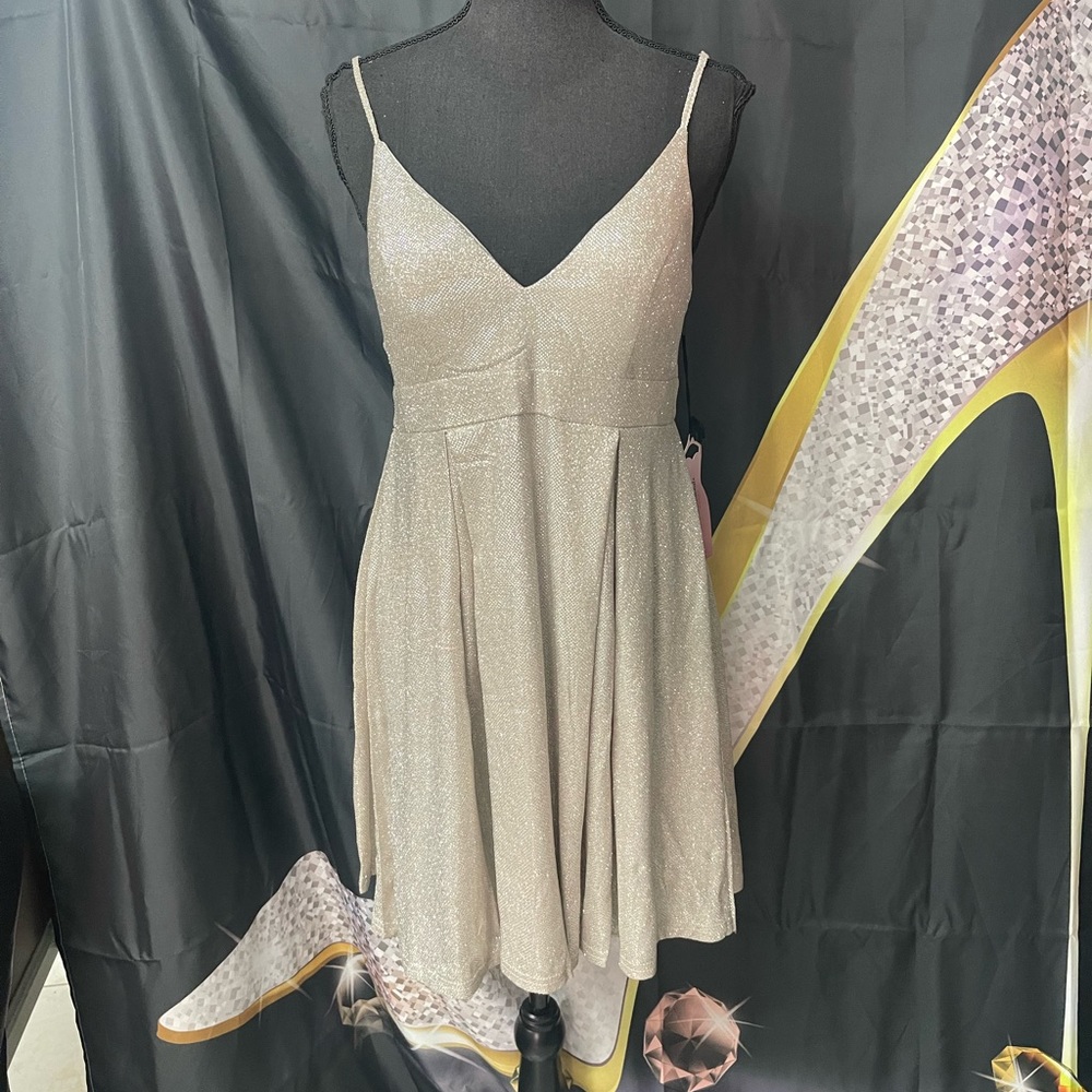 Haute Monde dress silver  NWT